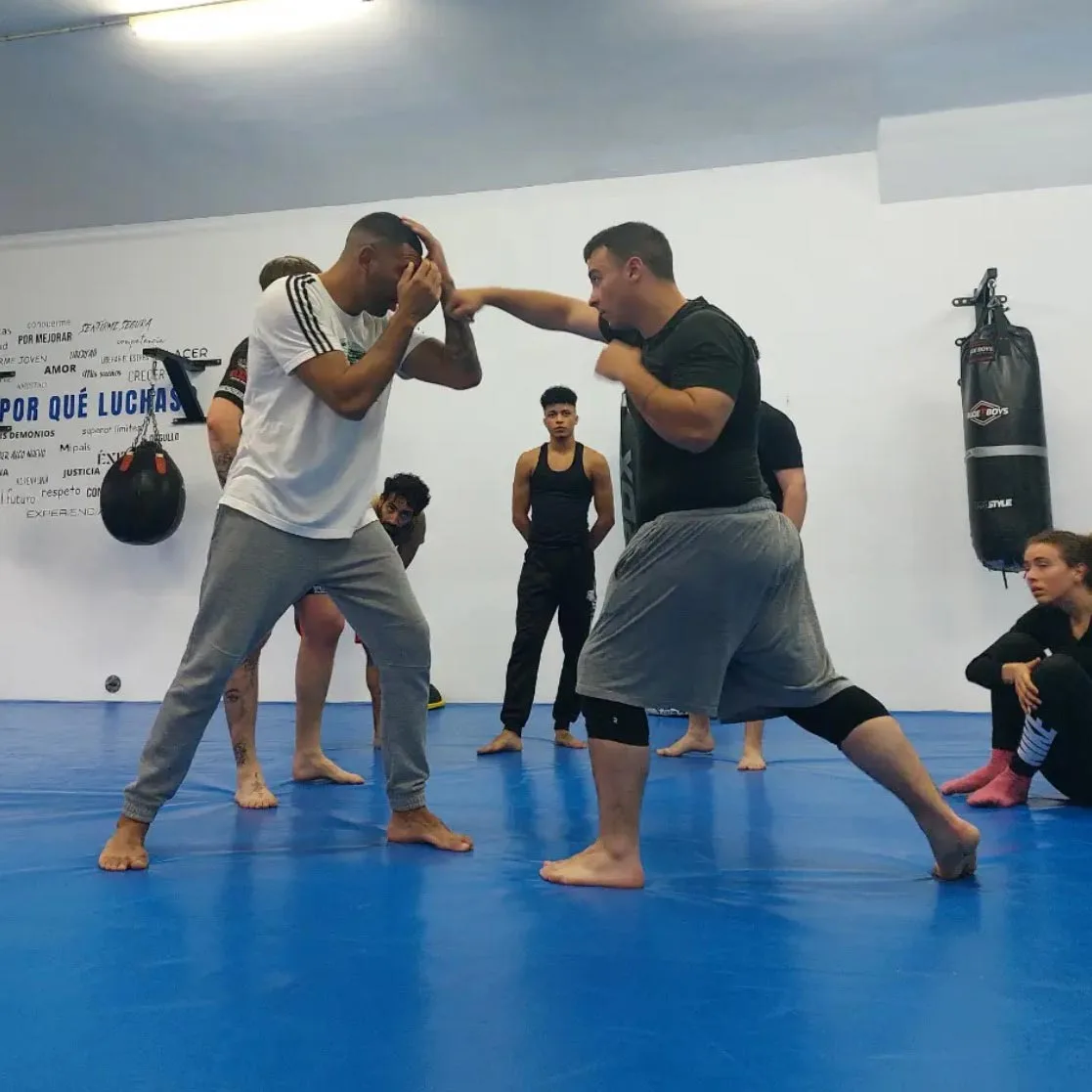 boxeo-1117